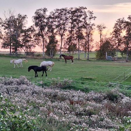 Js Feriendomizile Haus Abendrot Βίλα Hasselfelde Εξωτερικό φωτογραφία